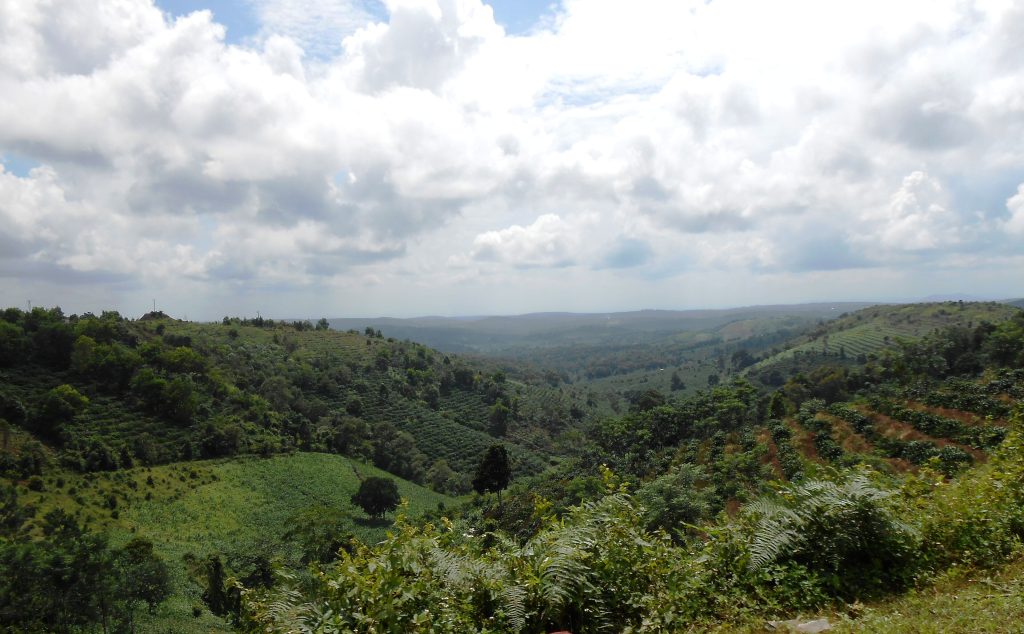 Rolling hills and forest on the Dak Lak plateau