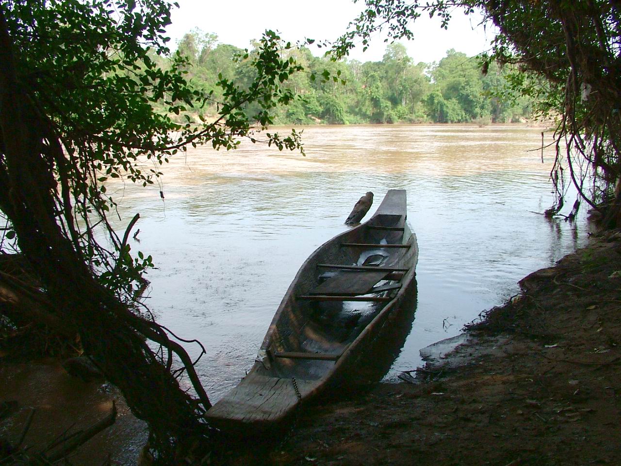 What to Eat in Dak Lak: Local Dishes You Should Try