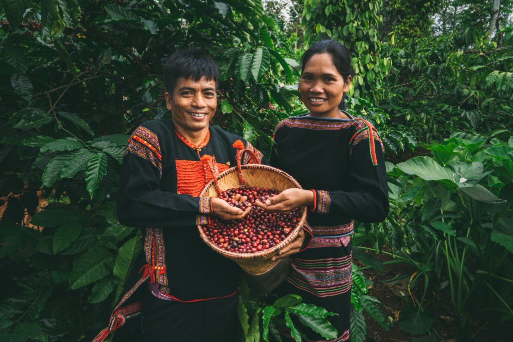 Coffee village in Buon Ma Thuot