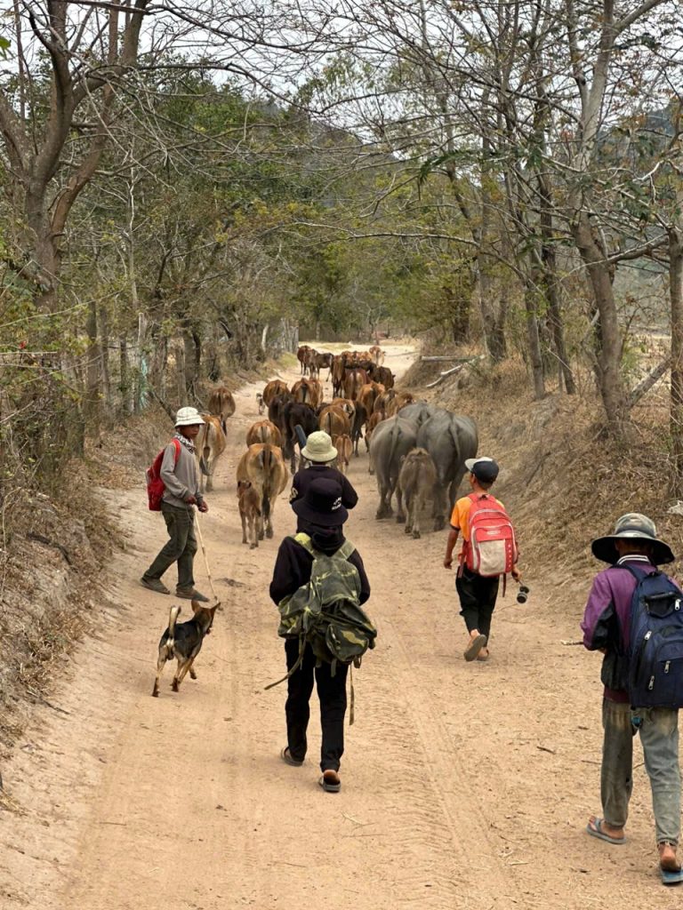 Lak Lake and Ethnic Villages Trek