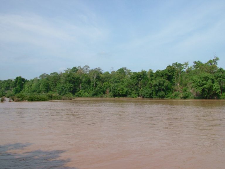 Yok Don Jungle Trek
