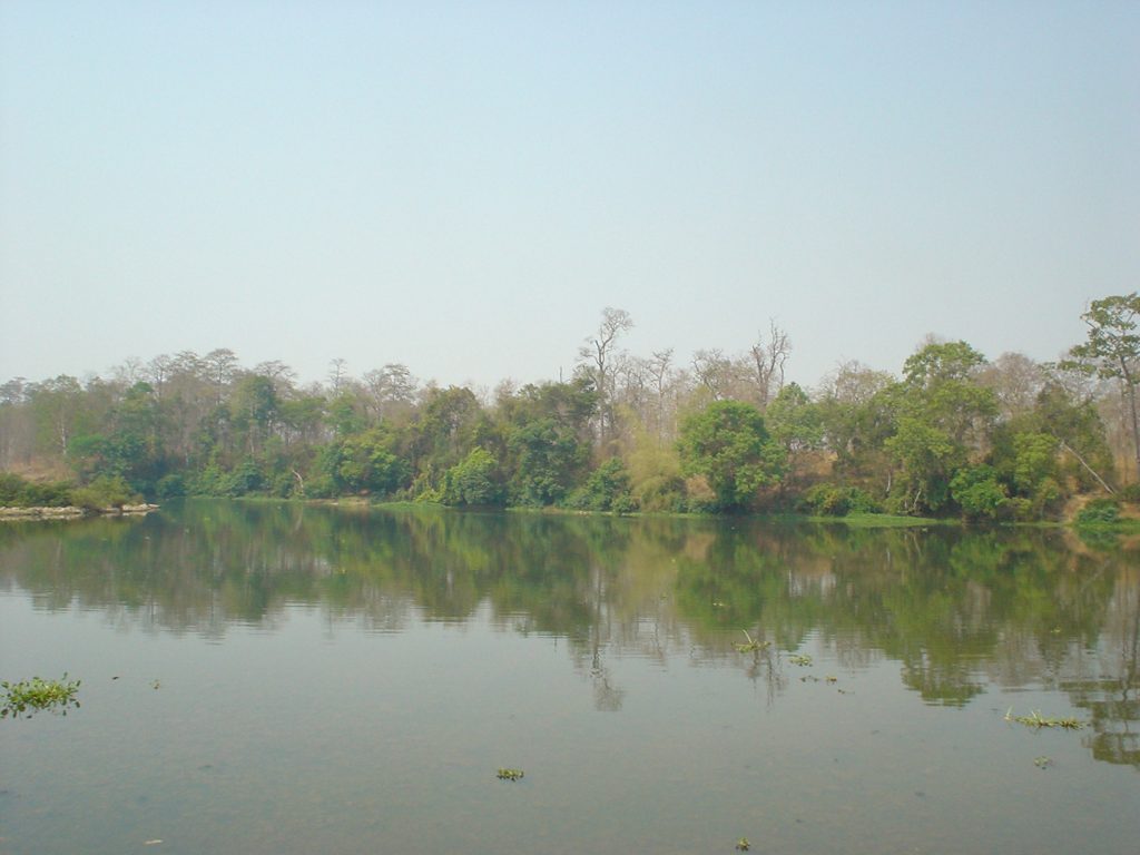 River and dry forest in Yok Don National Park